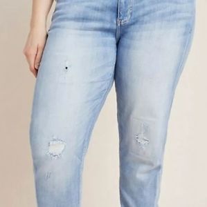 Anthropologie NWT Pilcro Plus Jeans 22W